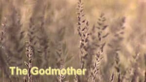 The Godmother
