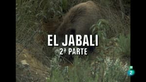 The Wild Boar II