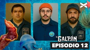 Episode 12