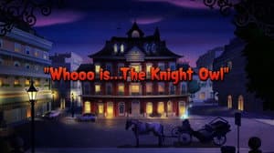 Whooo Is... The Knight Owl