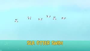 Sea Otter Swim