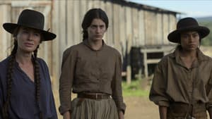 The Joaquins