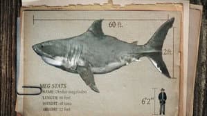Expedition Unknown: Megalodon