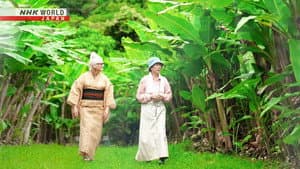 Okinawa: Weaving Culture