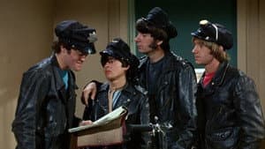 The Wild Monkees