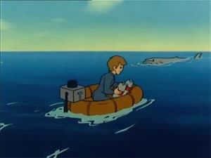 The Whales