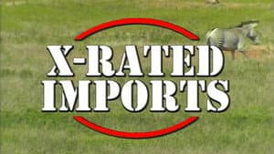 X Rated Imports