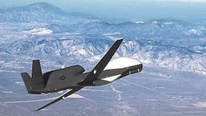 Spies That Fly