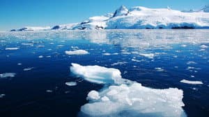 Journey to the Poles