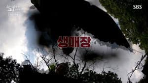 Episode 40