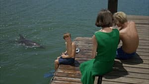 Lady and the Dolphin (1)