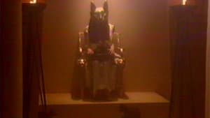 Mythical Cats