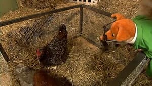 The Farm
