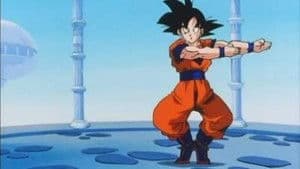 The Fusion Dance