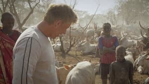 The cow camp