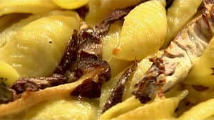 International Pasta