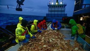 Bering Sea Crash