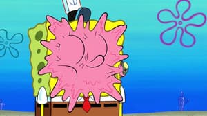 A Taste of Plankton