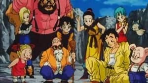 Find the Dragon Balls