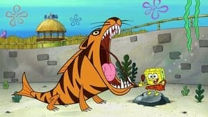 Who R Zoo?