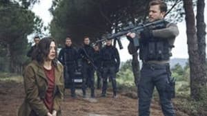 Episode 29