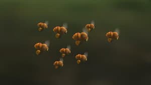Gather more to pollinate more