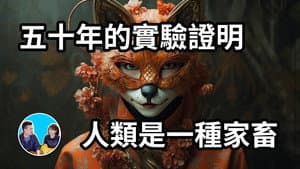 Episode 278