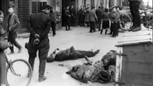 Vengeance