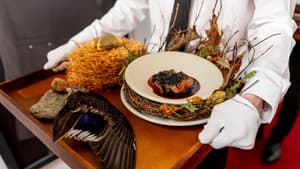 North East England and Yorkshire: Judging