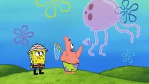 Jellyfishing Safety Tips