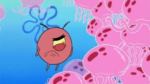 Plankton Pays