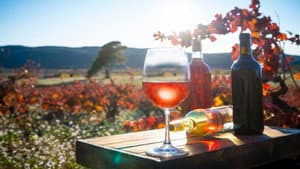 Viticulture on the advance