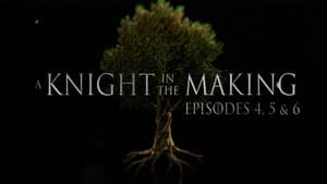 Episodes 4, 5, and 6