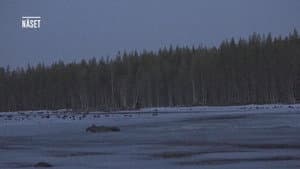 Episode 21