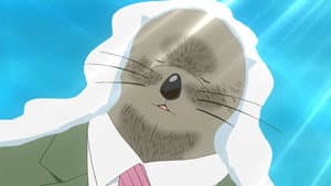 Rakko Umi e Kaeru!
