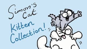 Kitten Collection! (1)