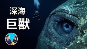 Episode 322