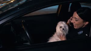 Episode 217