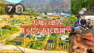Nature's Bounty at an Okayama Community Garden