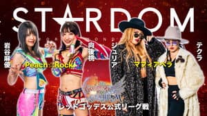 Stardom 12th Goddesses of Stardom Tag League in Fuji