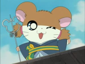 The Tale of Princess Bijou