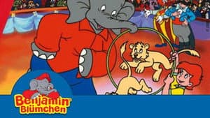 The Circus Lions