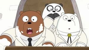Best Bears