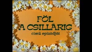 Föl a csillárig