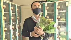 The Vegetable "Vending Machine" in Tokyo
