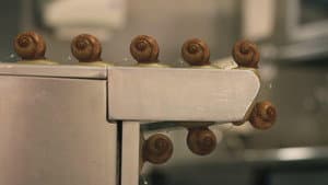 Twelve angry snails