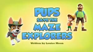 Pups Save the Maze Explorers