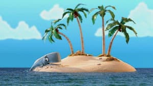 Whale Watching