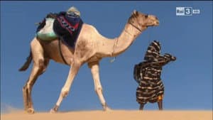 Living in the Desert