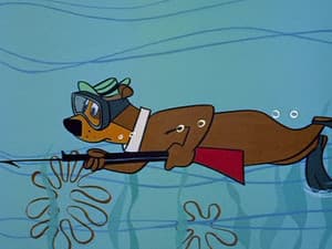 The Stout Trout